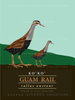 Guam Rail Illustration