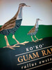 Guam Rail Illustration - Close Up