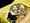 Invicta 6995 Pro Diver Scuba Swiss Quartz GMT Polyurethane Strap Watch | Free Shipping