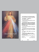 Holy Cards (pkt100): Divine Mercy Chaplet