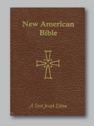 Bible: Giant Type NAB (Brown)