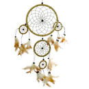 Dream Catcher Natural
