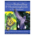 Attracting Butterflies & Hummingbirds to Your Backyard
