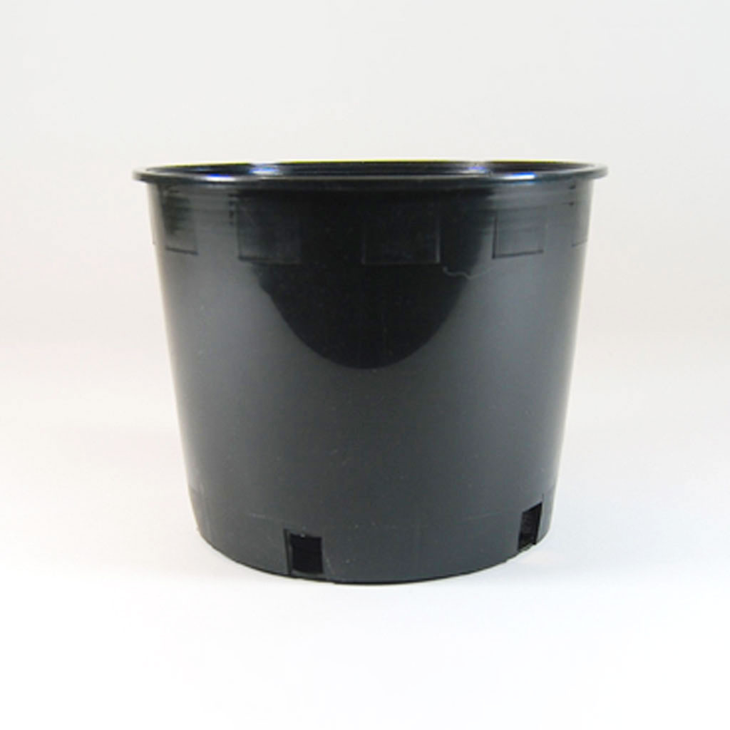 Nursery Pot Smooth, 6 inch Harmony Farm