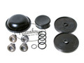 Repairs the diaphragms, valves, and o-rings on your Hypro D30 and D30GRGI Diaphragm Pumps.