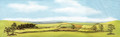 Country Landscape