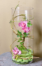 Spectacular collection of orchids contained in a glass vase with stones and vines. A statement piece!