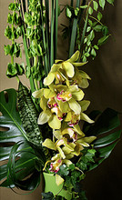 Dramatic arrangement of orchids and green foliages