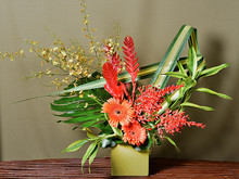 Colourful arrangement including exotic blooms from the tropics. Fun and dramatic!