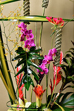 Unusual arrangement of tropical flowers and dramatic accents will make you think of the exotic jungle. Escape the ordinary!