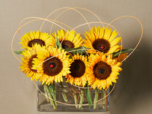 Bright and cheerful arrangement of festive sunflowers
