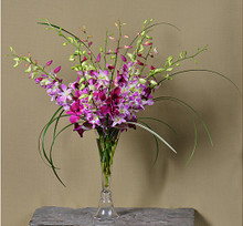 Stunning orchids arranged in a glass vase