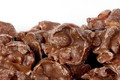 Chocolate Covered Redskin Peanuts
