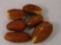 Redskin Peanuts