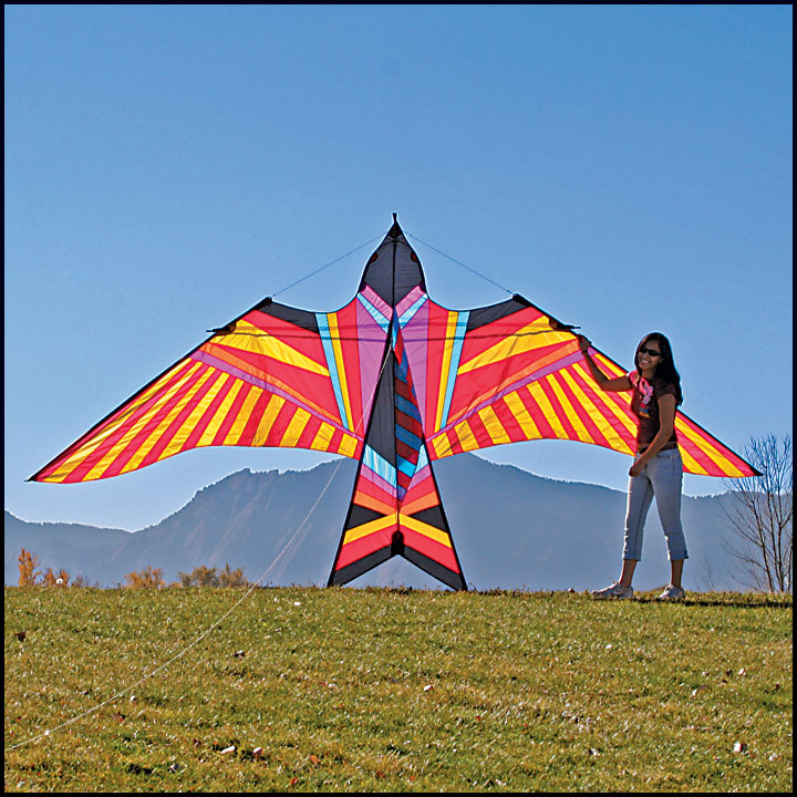 ittw-5656-gp-skybird-aloha.jpg ittw-5656-gp-skybird-aloha.jpg