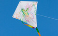 HQ Kites -  Kid's Creation "Eddy"
