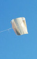 Wind Love - Honenashi / 10 Pack