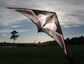 Flying Wings Kites - Prediction UL 