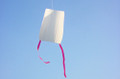 Kite Guys - Tyvek Sled / 10 Pack - Made in Canada