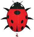 Skydog Kites - Lady Bug