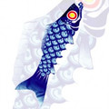 New Tech Kites - Blue Koi windsock