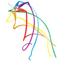 New Tech kites - Rainbow Star 6