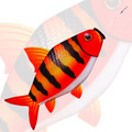 New Tech Kite - Red Zebra windsock