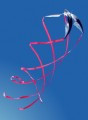 New Tech Kites - 4 Blade Ninja Star