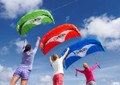 HQ Kites - Alpha 1.5