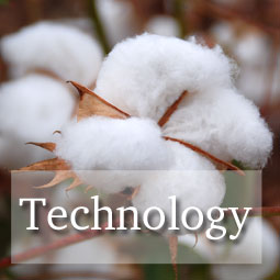 Technology Guides Technology Guides
