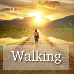 Walking Guides Walking Guides