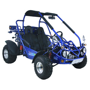 TrailMaster 300 XRX (Free Shipping) Some assembly