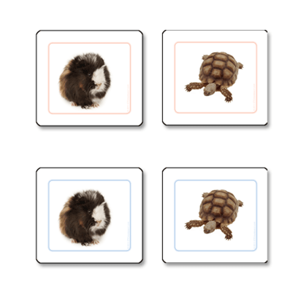 Pets matching cards