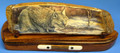 Lynx - Scrimshaw by Gary Dorning