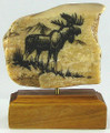 Moose Scrimshaw by Geoff Olson