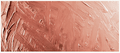 Grumbacher Academy Oil Cadmium Red Light