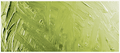 Grumbacher Pre-tested® Thalo Yellow Green 37ml