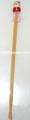 Bamboo Ear Cleaner Earpick