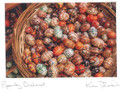 Pysanky, Bucharest. Handmade cards by Kim Piotrowski - Box of 10