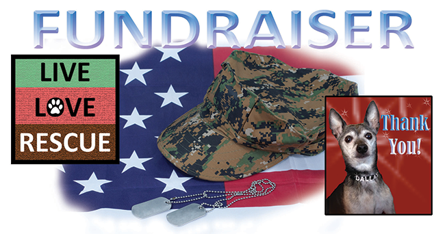 animalfundraiserheader-650.png animalfundraiserheader-650.png