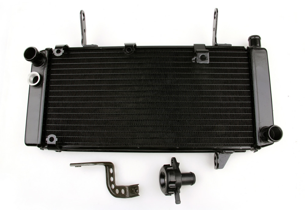 http://www.madhornets.store/AMZ/MotoPart/Radiator%20Grille/M504-A028/M504-A028-Black-1.jpg