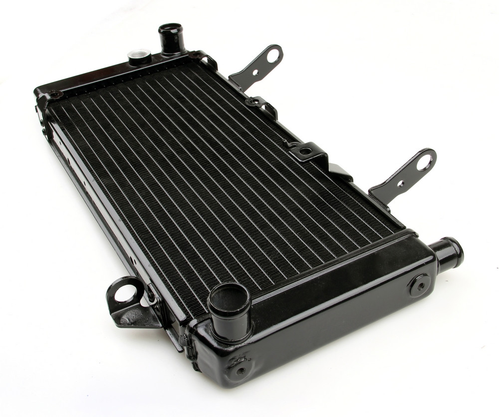 http://www.madhornets.store/AMZ/MotoPart/Radiator%20Grille/M504-A028/M504-A028-Black-2.jpg