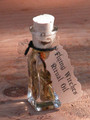 Flying Witches "Alchemist Tree" Ritual Oil . Astral Projection, Vision Works, Meditation, Dream and Spiritual Enlightenment