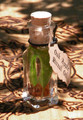 Oak Apple Harvest . "Alchemist Tree" Ritual Oil . Mabon Rites, Autumn Equinox, Harvest Celebrations, Blessings of Bounty