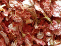Jasmine Flower ~ Herbal Alchemy