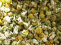 Chamomile Flower ~ Herbal Alchemy