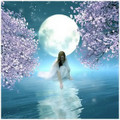 Lunar Intuition