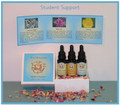 Student Support Trio