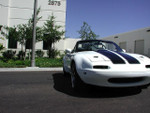 With Stock Bumpers