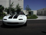 With Stock Bumpers